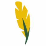 papagaji favicon